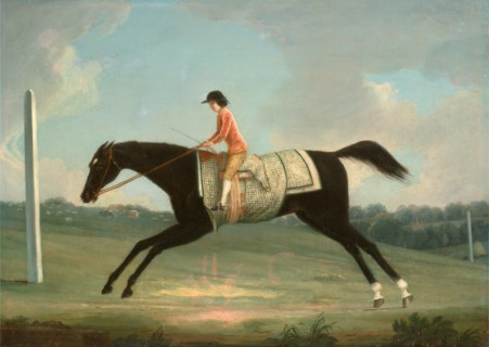 Borlase Cokayne as a Boy riding Sultana Inscribed, lower left: "The H[???] Mr Borlace Ccknine,