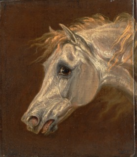 Head of a Grey Arabian Horse Signed in black paint, lower right: "MTW", Martin Theodore Ward,