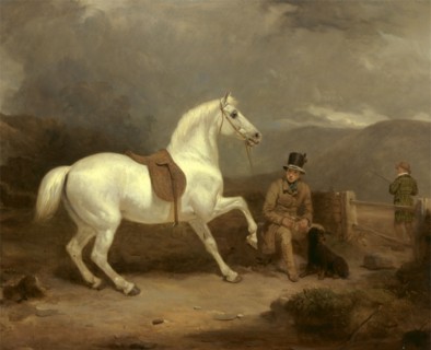 Grey Shooting Pony, Probably the Property of Johnston King, with a Groom ? Mr. Johnston King's Grey