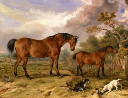 Portrait of Reformer, Blucher, Tory and Crib, the Property of Rowland Alston, Esq., M.P. Reformer,
