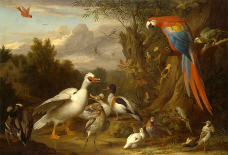A Macaw, Ducks, Parrots and Other Birds in a Landscape Signed, lower left: "J. Bogdani", Jacob