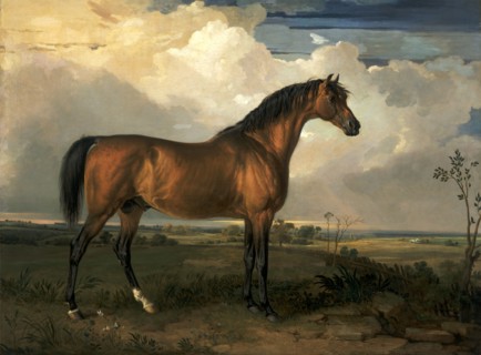 Eagle, a Celebrated Stallion Eagle, a stallion Signed and dated, lower left: "[monogram] 1809",