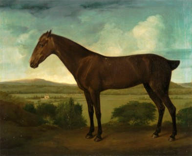 Brown Horse in a Hilly Landscape, unknown artist, 18th century, British