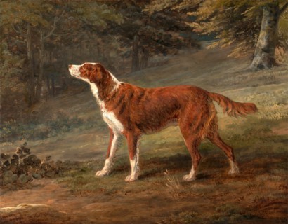 Ranger, a setter, the property of Elizabeth Gray Ranger, Mrs. Elizabeth Gray's Setter Signed and