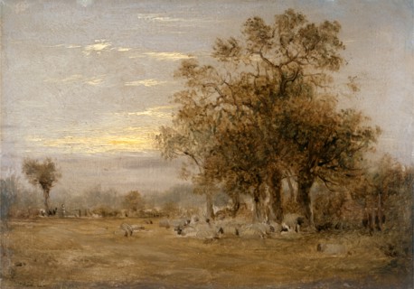 Sheep Grazing Dated in yellow paint, lower left: "June 16 18 [...]", John Linnell, 1792-1882,