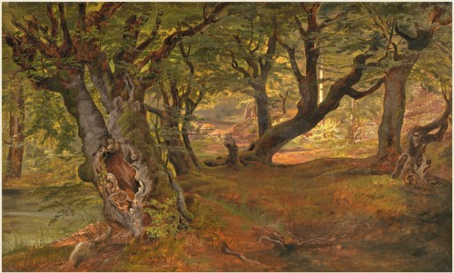 Frederik SÃ¸dring (Danish, 1809-1862), View of Bregentved Forest, Sjaeeland, mid 1830s, oil on