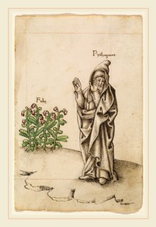 French early 16th century, "Do Not Eat Beans" [fol. 25 recto], 1512-1514, pen and brown ink with