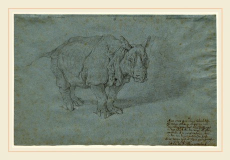 Johann Elias Ridinger, German (1698-1767), The Rhinoceros "Miss Clara", 1748, black chalk on blue