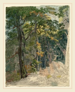 Friedrich Salathé, Swiss (1793-1858), Rays of Sunlight Striking a Woodland Path, c. 1815, pen and