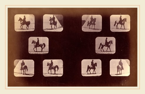 Eadweard Muybridge, American (born England, 1830-1904), Illustrations of the Paces Walking, Plate