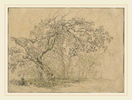 Friedrich Salathé, Swiss (1793-1858), Grove of Trees [verso], c. 1835, pen and black ink over