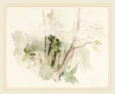 Robert Hills, British (1769-1844), Trees at Beddington, possibly c. 1805, graphite over watercolor