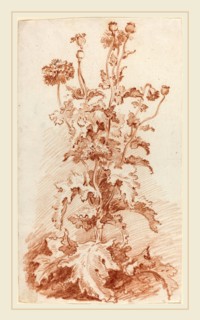 Jean-Baptiste HÃ¼et, I, French (1745-1811), Poppies with Seed Pods, mid 1760s, red chalk on laid