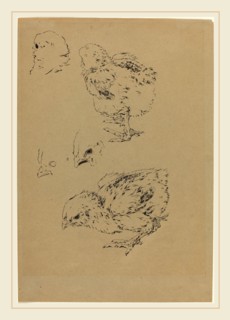Félix Bracquemond, Chicks, French, 1833-1914, brush and black ink with touches of gray wash over
