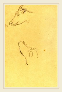 Paul Gauguin, French (1848-1903), Head of a Cow [recto], 1884-1888, graphite on wove paper