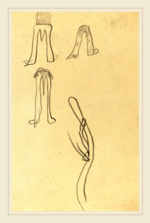 Paul Gauguin, French (1848-1903), Four Fantastic Forms [recto], 1884-1888, graphite on wove paper