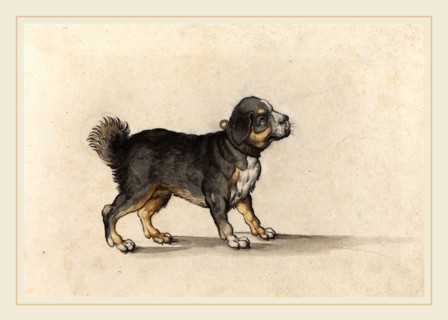 Jakob Walther, German (active 1584-1604), A Mastiff with a Gold-Tooled Collar, pen and black ink