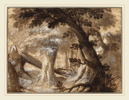 Flemish 17th century, Forest Interior, c. 1610, pen and brown ink and wash over graphite with white