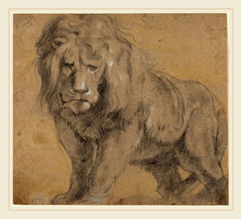 Sir Peter Paul Rubens, Flemish (1577-1640), Lion, c. 1612-1613, black chalk, heightened with white,