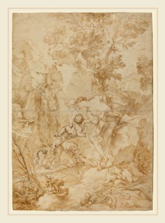 Gregorio de Ferrari, Italian (1644-1726), Echo and Narcissus, pen and brown ink and brown wash over