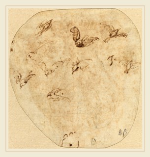 Attributed to Girolamo Mazzola Bedoli, Italian (c. 1500-1569), Birds in Flight [verso], pen and