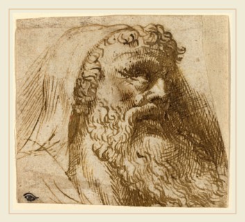 Domenico Campagnola, Italian (before 1500-1564), Head of a Man, pen and brown ink on laid paper