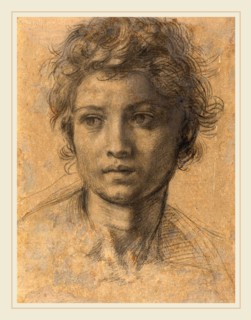 Andrea del Sarto, Italian (1486-1530), Head of Saint John the Baptist, c. 1523, black chalk on