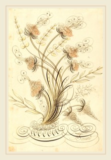 Jean-Joseph Bernard called Bernard de Paris, French (1740-1809), Calligraphic Flowers, pen and