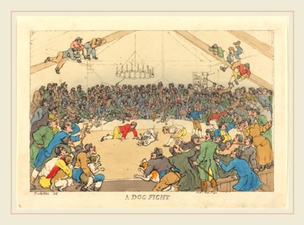 Thomas Rowlandson, British (1756-1827), A Dog Fight, 1811, hand-colored etching
