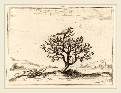 Jacques Callot, French (1592-1635), Nightingale in a Bush, 1628, etching