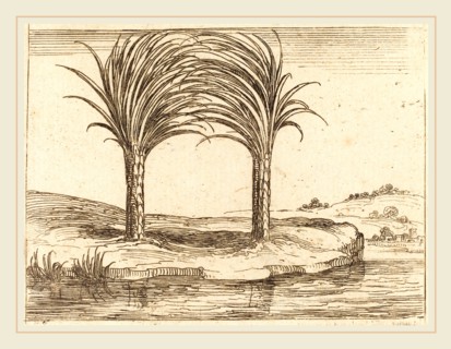 Jacques Callot, French (1592-1635), Two Palm Trees, etching