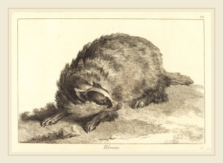 Jacques-Philippe Le Bas and Jean Eric Rehn after Jean-Baptiste Oudry, French (1707-1783), Blereau