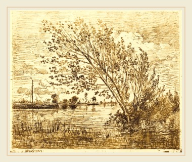 Charles-FranÃ§ois Daubigny, French (1817-1878), Stand of Alders (Le Bouquet d'aunes), 1862,