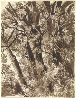 Trunks and Branches