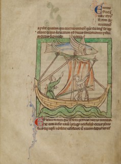 A Flying Fish
