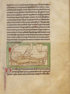 A Caladrius