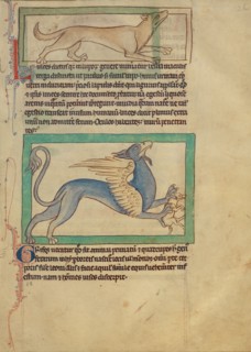 A Lynx,  A Griffin