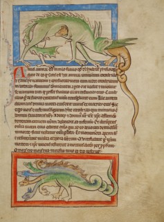 A Hydrus,  A Hydra