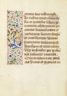 Decorated Text Page
