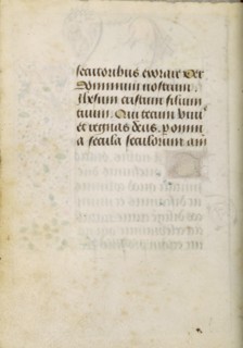 Text Page