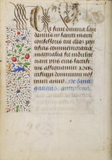 Decorated Text Page