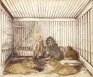 Portrait of a Man with Lions