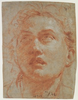 Head of a Man Looking Up