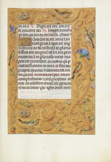 Decorated Text Page