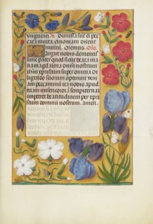 Decorated Text Page