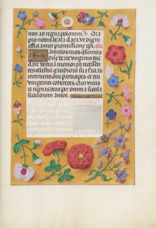 Decorated Text Page