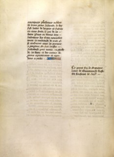 Text Page