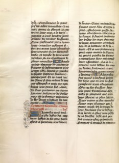 Decorated Text Page