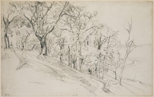 Forest in Boisrémond (recto),  Cottage in a Forest (verso)