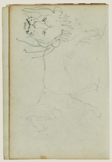 Lion walking, face of lion